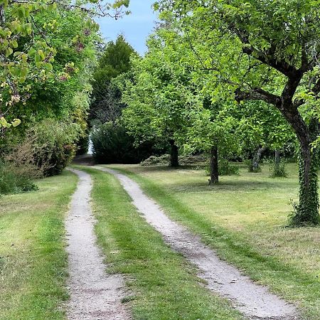 Les Jardins De L'Hermitage 塞莱特 外观 照片